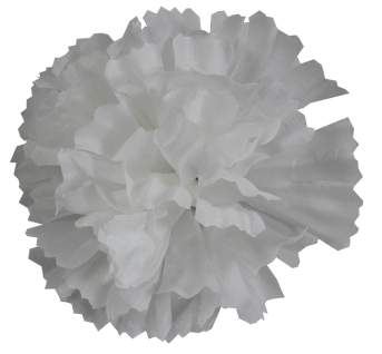 Голова гвоздики шелк Г0024 (10,5см 100шт) белая