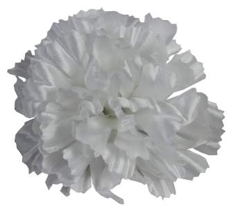 Голова гвоздики атласная Г0023 (10,5см 50шт) белая