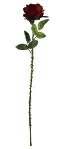 Роза бархатная (150шт 60см) LR-1 600кор