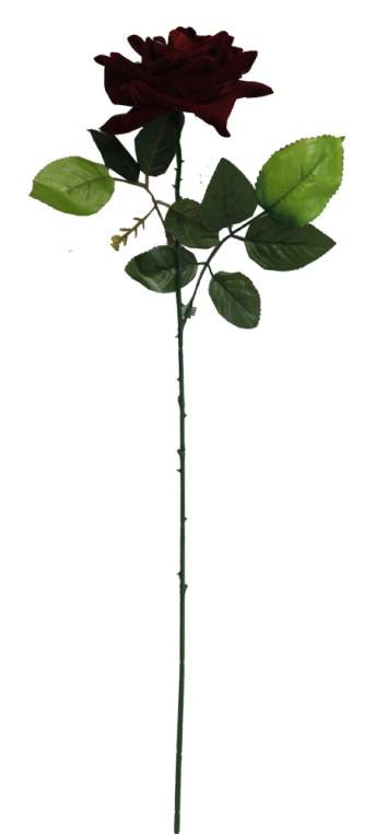 Роза бархатная штучная (55см 5шт) А833