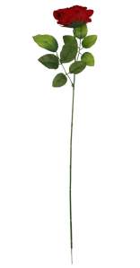 Роза бархатная открытая (70см 5шт) А939