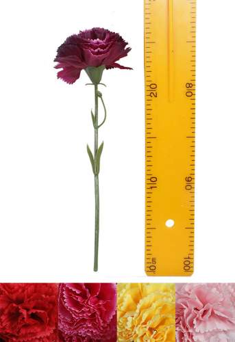 Ветка гвоздики (30см 50шт) HS24222