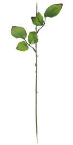 Стебель 2 листа розы (20шт 45см) 12.107
