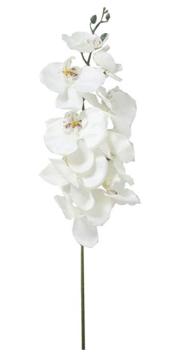 Орхидея (9гол 100см)