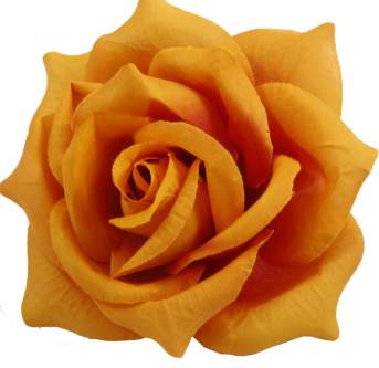 Голова розы Барбара Оранжево-красная (d=12,5см 30шт) Г792